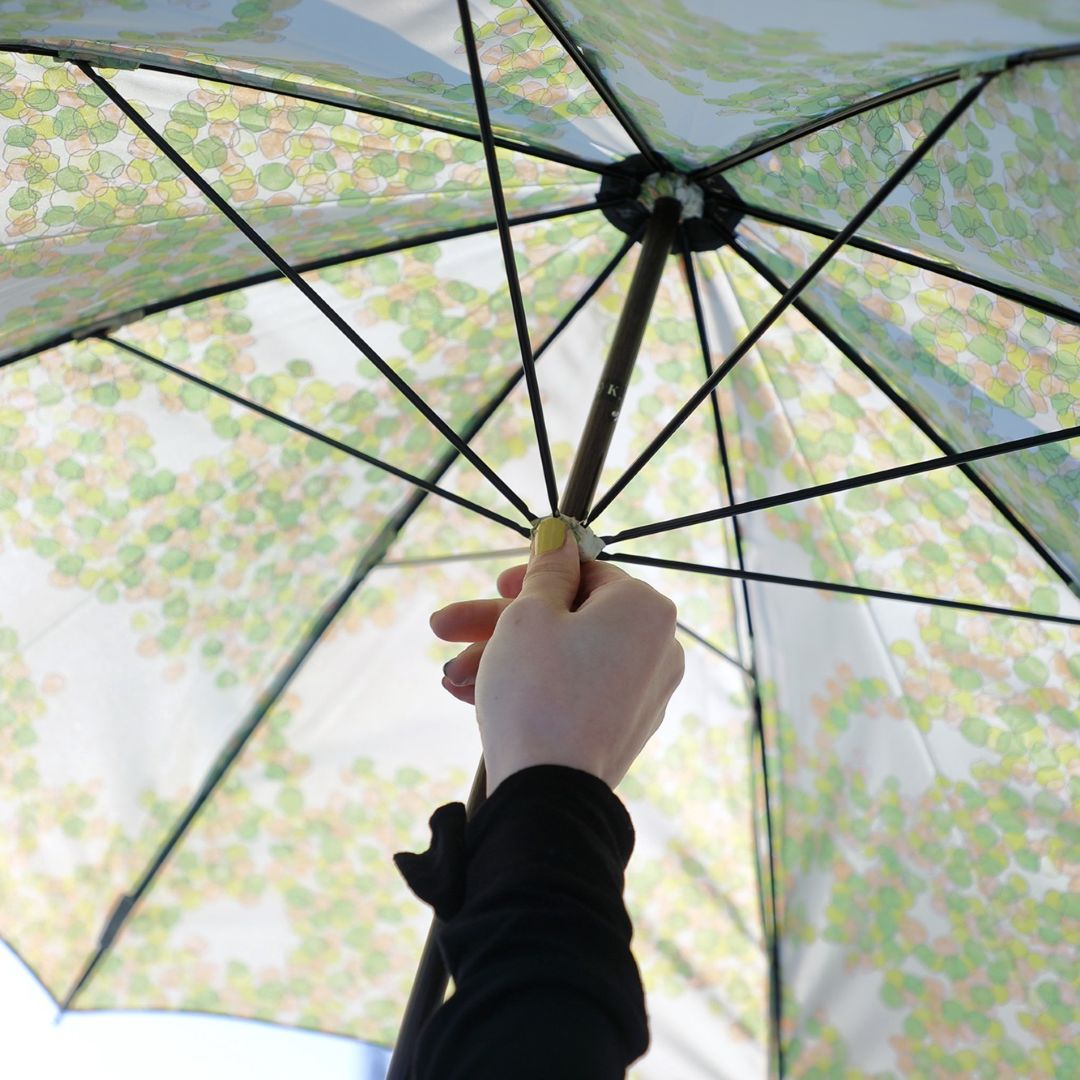 銀座】イイダ傘店 展示販売会 傘の雨 ~It's Raining Umbrellas